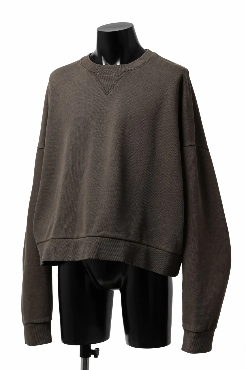 entire studios BOX CREW SWEAT PULLOVER (BRUNETTE) - Image 13