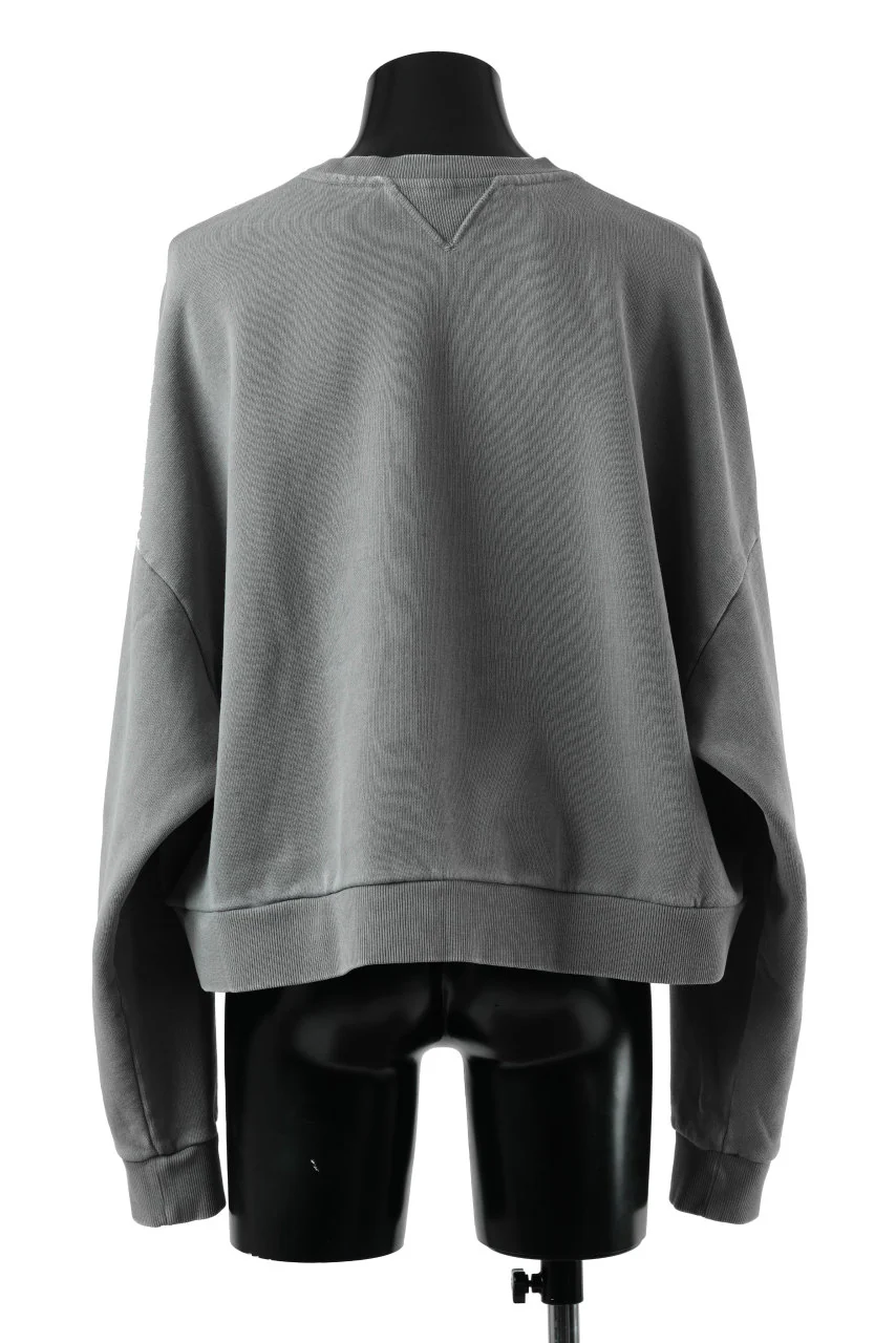 entire studios BOX CREW SWEAT PULLOVER (RHINO) - Image 4