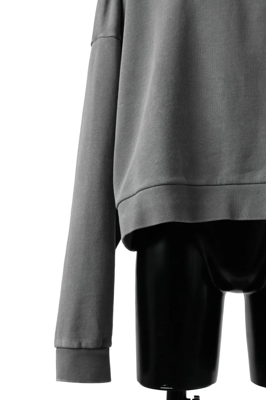 entire studios BOX CREW SWEAT PULLOVER (RHINO) - Image 7