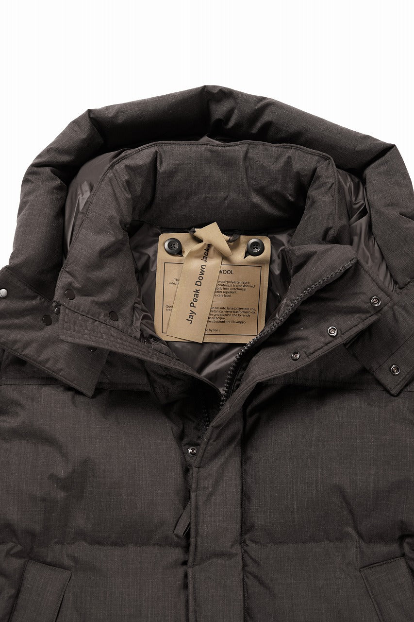 Ten c JAY PEAK DOWN JACKET (CAFE TURCO) - Image 11