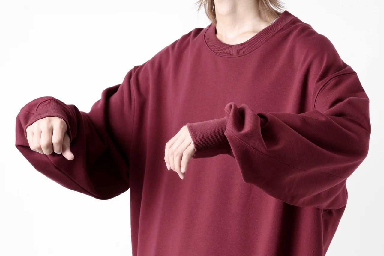 Y-3 Yohji Yamamoto CREW NECK SWEAT TOP / FRENCH TERRY (SHADOW RED) - Image 26